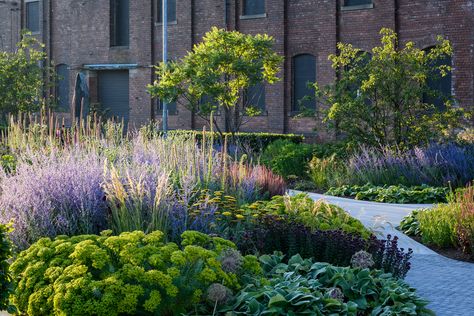 Tom Stuart Smith Gardens, Tom Stuart Smith, Hepworth Wakefield, Naturalistic Garden, Spanish Garden, Planting Design, Public Places, Backyard Inspiration, Modern Cottage