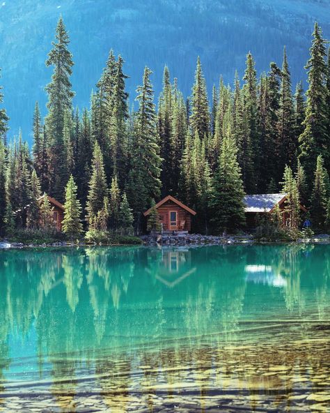 You Can Rent A Waterfront Cabin In The Rockies For The Ultimate Getaway In BC - Narcity Mos Architects, Waterfront Cabins, Lakeside Cabin, Yoho National Park, Forest Cabin, Canada Photos, Dreamy Landscapes, Lake Cabins, A Cabin