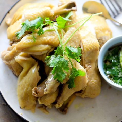 Chinese Poached Chicken | 12 Chinese New Year Food Ideas | https://homemaderecipes.com/chinese-new-year-food-ideas/ Chinese Poached Chicken Recipe, Steam Chicken Recipe, Steam Chicken, Boiled Chicken Recipes, Chicken Chinese, Sichuan Food, Chinese New Year Food, Cantonese Cuisine, Hainanese Chicken