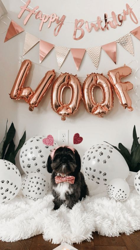 Pet Birthday Photoshoot Ideas, Dog Birthday Photoshoot Ideas At Home, Dog Photoshoot Birthday, Dog First Birthday Pictures, Dogs First Birthday Ideas, Dog Birthday Photoshoot Ideas, Dog Birthday Photoshoot, Dog Birthday Pictures, Dog Party Decorations