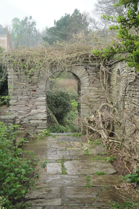 Hestercombe Gardens, designed by Edwin Lutyens and Gertrude Jekyll Gertrude Jekyll Garden Design, Hestercombe Gardens, Terrace Gardens, Gertrude Jekyll, Edwin Lutyens, Formal Gardens, Terrace Garden, Landscape Ideas, Retaining Wall