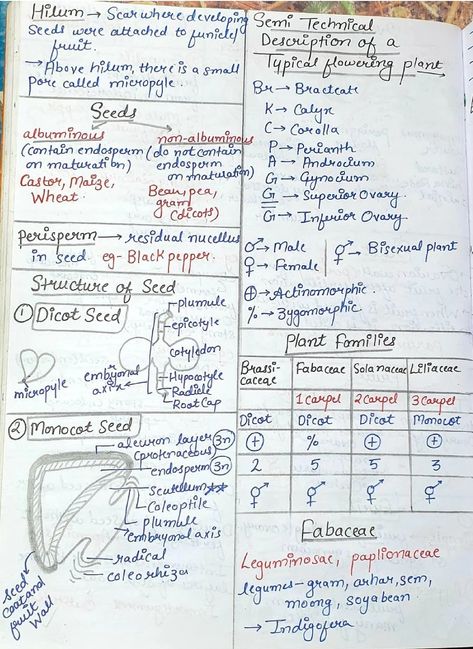 Morphology of Flowering Plants Short Notes 📚 Morphology Of Flowering Plants, Nomenclature Chemistry, Motion Physics, Tissue Biology, Bio Notes, Element Chemistry, Redox Reactions, Human Body Facts, Short Notes