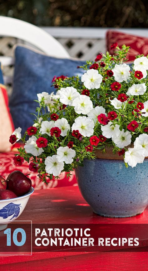 Show your American spirit this summer by planting red, white and blue container recipes for your front porch or patio. It's time to let these star-spangled colors soar! Check out these 10 container gardens recipes and add living color anywhere - porch, patio or poolside! Featuring a mix of red, white and blue toned flowers for summer interest. Labor Day Decorations, Labor Day Crafts, Blue Container, Patriotic Flowers, Blue Planter, Red And White Flowers, Red Cottage, White And Blue Flowers, Proven Winners