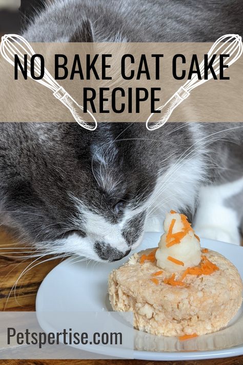 Cat Birthday Cake Recipe, Cat Safe Cake Recipe, Cat Friendly Cake Recipes, Cakes For Cats To Eat, Homemade Cat Cake, Birthday For Cat Pets, Cat Safe Cake, Cat Safe Birthday Cake, Cake For A Cat