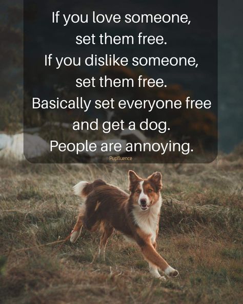 Animals Are Better Than People, Dog Quotes Love, Love Someone, If You Love Someone, Dog Rules, Animal Quotes, Dog Quotes, Dog Training Tips, Loving Someone