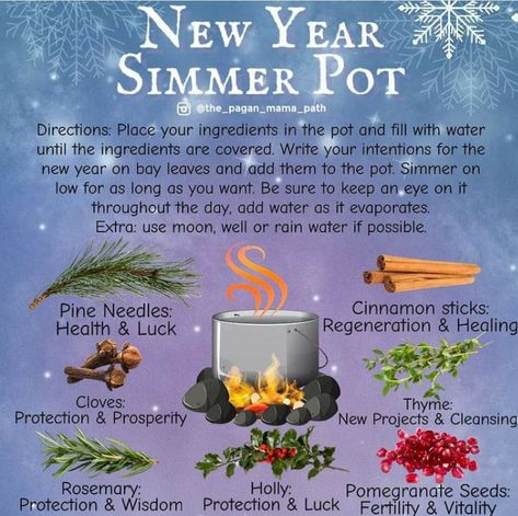 New Year Simmer Pot, Pot Simmer, Witch Recipes, Simmering Pot, Simmer Pots, Shiny Rocks, Simmer Pot Recipes, Kitchen Witch Recipes, Potpourri Recipes