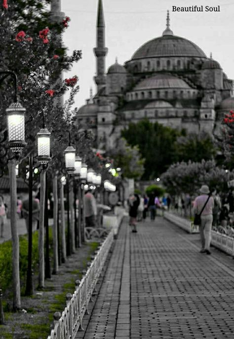 Splash Of Colour, Splash Of Color, Lamp Post, Color Splash, Taj Mahal, Beautiful Places, Street View, Kiss, Building