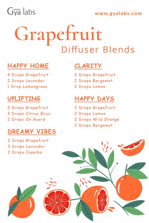 A bottle of Grapefruit Essential Oil blend with fresh grapefruits in the background. Aromatherapy Diy, Essential Oil Spray Recipes, Essential Oil Perfumes Recipes, Diy Candle Making, Liver Care, Essential Oil Combinations, Essential Oil Diffuser Blends Recipes, Oil For Skin, Young Living Essential Oils Recipes