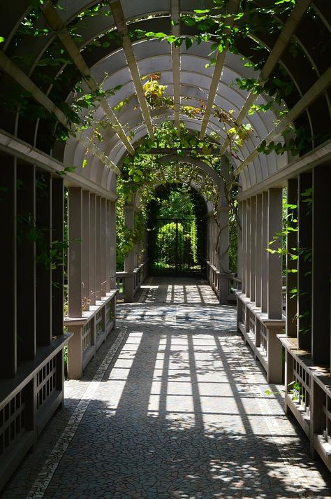 italy, hallway, corridor, architecture, italian, arch, walkway, garden, outdoor | Pikist Arch Walkway, Road Architecture, Italy Tourist Attractions, Walkway Garden, Italy Tourist, Architecture Italy, Hallway Corridor, Garden Outdoor, Walkway