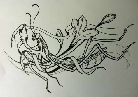 Praying Mantis Tattoo, Minnesota Tattoo, Mantis Tattoo, Insect Tattoo, Tattoo Inspiration Men, Cool Forearm Tattoos, Praying Mantis, Insect Art, Tattoo Outline