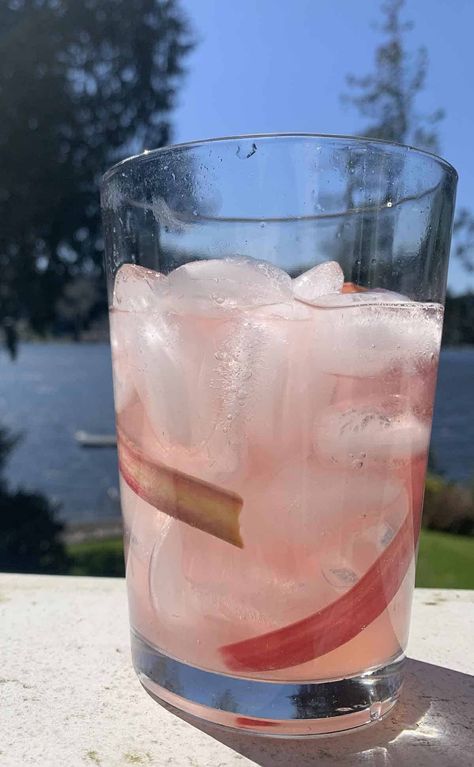 Refreshing Homemade Rhubarb Soda Rhubarb Drink, Rhubarb Soda, Rhubarb Cocktail, Rhubarb Syrup, Paloma Cocktail, Flavored Sparkling Water, Rhubarb Crumble, Homemade Soda, Soda Recipe