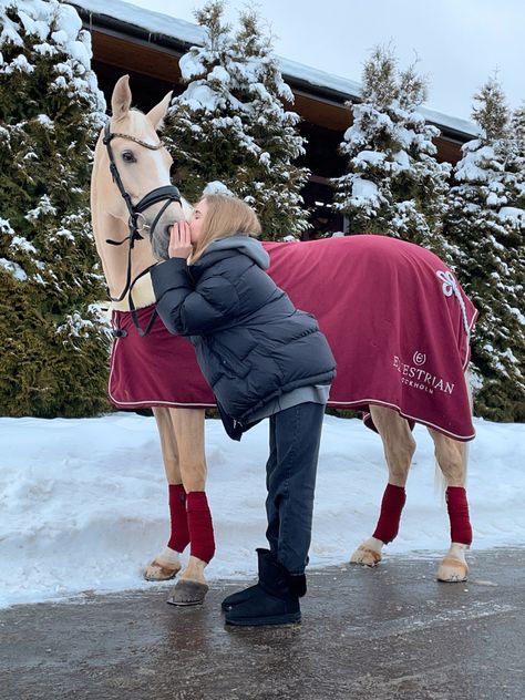 Winter Horse Riding Outfit, Winter Riding Outfits, Horsey Life, Horse Riding Aesthetic, Dream Stables, Winter Horse, Equestrian Aesthetic, Cute Horse Pictures, Palomino Horse