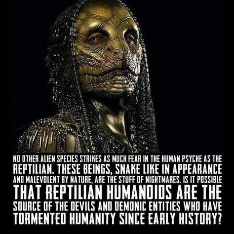 Reptilian People, Lizard People, Alien Theories, Ancient History Facts, Ancient Civilization, History Facts Interesting, Legends And Myths, Ancient Mesopotamia, Ancient Technology