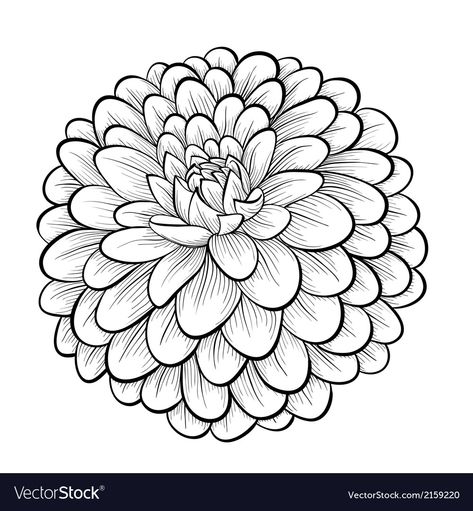 Dahlia Tattoo, Flower Outline, Black Dahlia, Mandalas Drawing, Flower Sketches, Free Art Prints, Desenho Tattoo, Trendy Flowers, Dahlia Flower