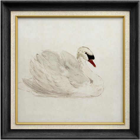 Zen Wall Decor, Animal Print Nursery, Vintage Framed Prints, Swan Bird, Neutral Paint, Above Bed, White Swan, Illustration Vintage, Hanging Posters