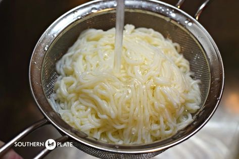 How to Cook with Shirataki Noodles (Zero Carb, Diabetic Friendly) - Southern Plate Pasta Zero, Wheat Belly Recipes, Shirataki Noodles, Southern Plate, Counting Carbs, Homemade Spaghetti Sauce, Macaroni Recipes, Wheat Belly, Homemade Spaghetti