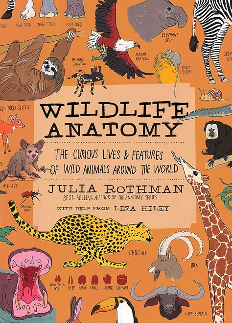 Zoology Books, Anatomy Books, Wildlife Biology, Julia Rothman, Animals Around The World, Zoo Book, Nature Books, Kid Books, Elephant Seal