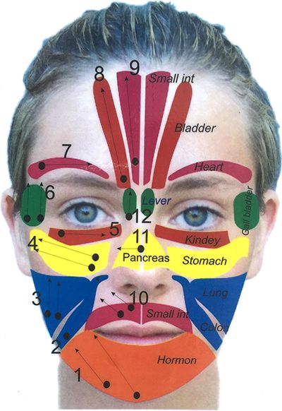 Head Reflexology Chart, Face Reflexology Chart Pressure Points, Face Reflexology Chart, Facial Acupressure Points, Facial Pressure Points, Facial Acupressure, Face Reflexology, Lymph Detox, Facial Reflexology