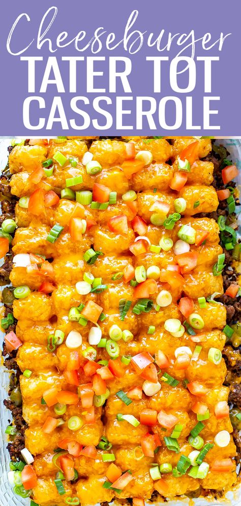 Easy Tator Tot Casserole, Tater Tot Casserole Easy, Tator Tot Recipe, Cheeseburger Casserole Recipe, Cheeseburger Tater Tot Casserole, Tater Tot Casserole Recipe, Tater Tot Recipes, Tater Tot Casserole Recipes, Tot Casserole