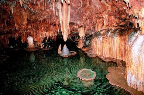 Another gem of Missouri’s unbelievable park system is the gorgeous Onondaga Cave State Park located on the Meramec River approximately 5 miles south of Leasburg. The park was established in 1982 and has numerous activities including cave tours, camping, fishing, hiking, picnicking, and swimming. Cave Tours, Spring Trip, Adventure Quotes, Interesting History, Hidden Gem, Weekend Trips, Hot Springs, Solo Travel, State Park