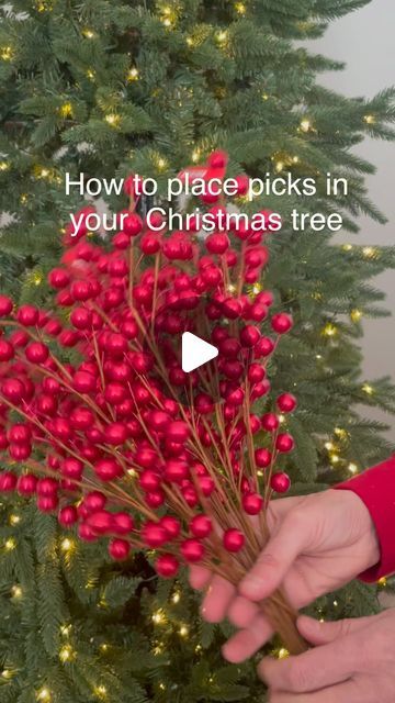 Keri Collins & Suzanne Higgins on Instagram: "Answering another one of the questions you all ask…how can I get picks to look good in my tree? It really is very simple, it’s all about placement and direction. It’s important to scatter them through the tree and place them on the branches in a downward direction. We love to use a lot of different picks when we decorate our trees but for the purpose of this demonstration we just used one type. Hope this helps 🎄❤️. . . . . . . . . . .#christmasinjuly #christmastreegoals #holidayinspo #christmasinspo #christmastips #ohchristmastree #diychristmas #christmastreedesigner  #diyholiday #diydecor #ksforeverdesigns" Sprays On Christmas Tree, How To Professionally Decorate A Christmas Tree, Christmas Tree Themes Traditional, Diy Tree Branch Decor Christmas, Red Themed Christmas Tree Ideas, Red And Buffalo Plaid Christmas Tree, Christmas Tree With Signs In It, Christmas Stalking Ideas, How To Add Picks To A Christmas Tree