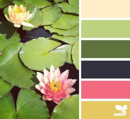 Lily pad hues Colour Crush, Seeds Color, Design Seeds, Color Story, Color Harmony, Color Crush, Crochet Inspiration, Color Studies, Colour Palettes