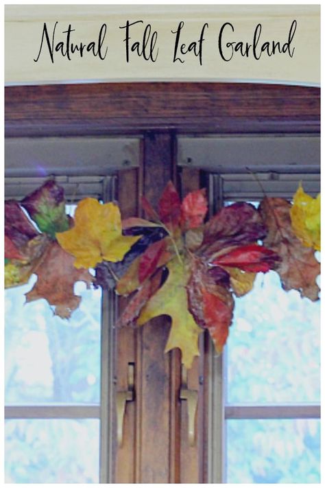 Find out how easy it is to take colorful autumn leaves and make this beautiful fall leaf garland to hang in your home. #fallgarland #falldecor #fallleaves Real Leaf Garland, Autumn Leaf Art, Fall Garlands, Fall Leaf Decor, Autumn Leaves Art, Fall Leaf Garland, Real Leaf, Faux Leaf, Fall Garland