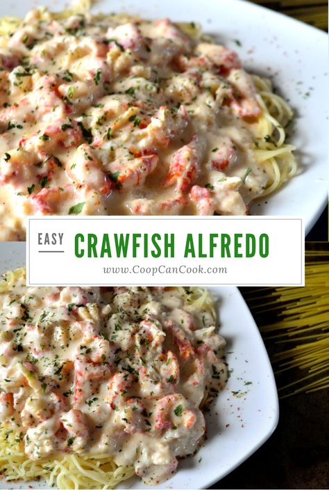 Cajun twist on an Italian classic. My Crawfish Alfredo recipe! Crawfish with every bite. And this creamy, rich alfredo sauce just takes it over the top! Crawfish Alfredo, Crawfish Dishes, Crawfish Pasta, Crawfish Recipes, Louisiana Food, Cajun Dishes, Cajun Creole Recipes, Cajun Cooking, Louisiana Recipes