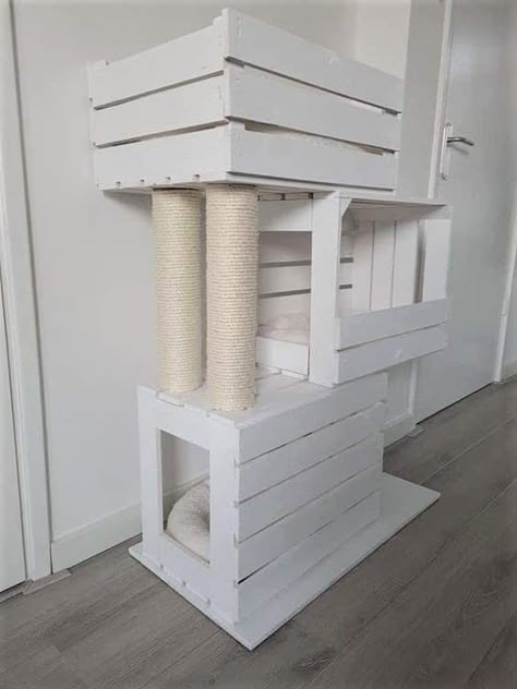 Diy Jouet Pour Chat, Cat Room Decor, Cat Furniture Design, Katt Grejer, Chat Diy, Coffee Diy, Diy Cat Tree, Cat House Diy, Diy Cat Toys