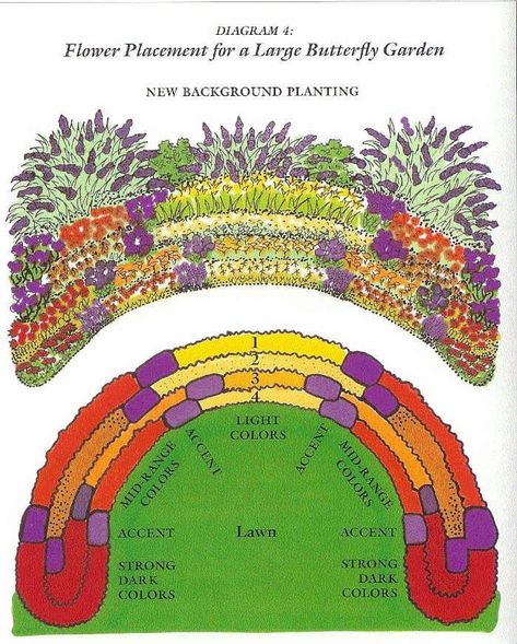 Layout for large butterfly gardens. Planting not only nectar plants but host plants for the caterpillars also keeps the cycle going. Adding Milkweed helps the Monarchs. And pesticide free! Circular Lawn, Butterfly Gardens, Butterfly Garden Design, Planting Guide, Garden Plan, Garden Design Layout, Hummingbird Garden, Garden Design Plans, Flower Gardening