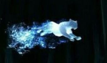 Patronus Art, Harry Potter Oc, The Leopard, Big Cat, Superhero Logos, Hogwarts, Harry Potter, Celestial Bodies, Art