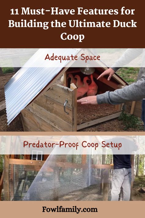 Are you building the perfect home for your backyard duck flock? Discover the key elements to include when designing a safe, functional, and comfortable duck coop. From proper ventilation to ideal nesting areas, get insider tips to build the ultimate duck housing to keep your feathered friends happy and healthy. #DuckCoop #BackyardDucks #PoultryHousing #DuckCoopDesign #WaterfowlCare Runner Duck Enclosure, Diy Duck House, Duck Housing, Duck Enclosure, Duck House Plans, Duck Stuff, Backyard Ducks, Duck Coop, Duck Farming