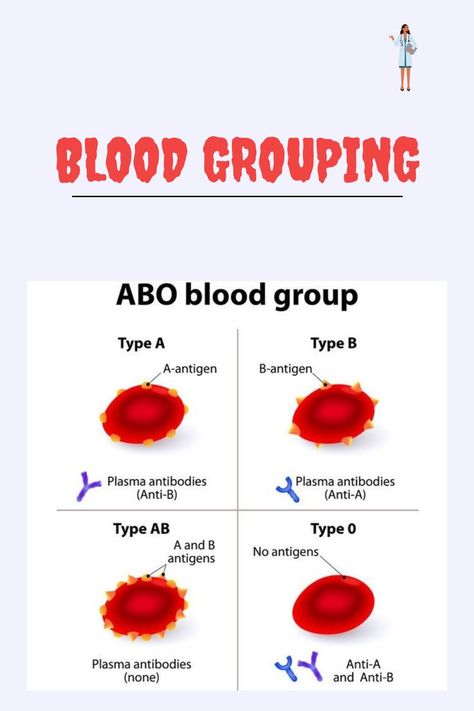 BLOOD GROUP Medical Laboratory Science Student, Blood Group, Nursing Study Guide, Medical School Life, Basic Anatomy And Physiology, Nurse Study Notes, Nursing Student Tips, Biology Facts, Medical Student Study