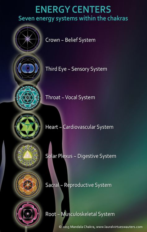 1. Chakras | Mandala Chakra Mandala Chakra, Feeling Alive, Energy Consciousness, Chakra Health, Chakra Activation, Sensory System, Jyotish Astrology, Reflexology Chart, Sacred Science