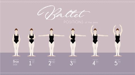 Arms For Beginners, Ballet Arm Positions, At Home Ballet, Ballet Terms, Ballet Workouts, Adult Ballet Class, Beginner Ballet, Activity For Kindergarten, Teaching Dance