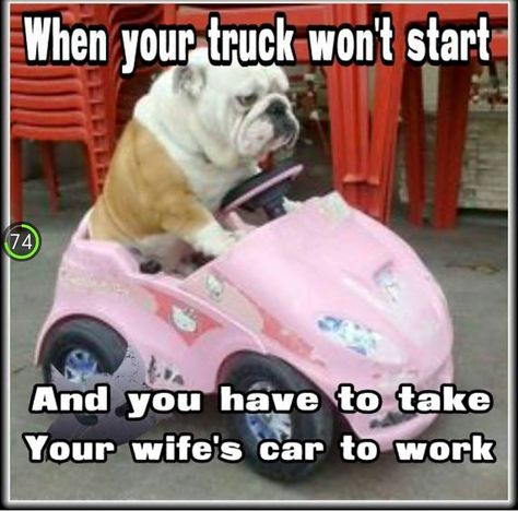 truck won't start..... Bulldog Funny, Cute Bulldogs, Car Memes, Bulldog Puppies, Funny Animal Pictures, English Bulldog, Animal Memes, Olaf, I Love Dogs