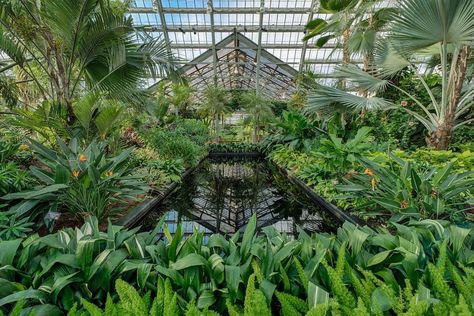 Underrated things to do in Chicago Garfield Park Conservatory, Architecture Foundation, Things To Do In Chicago, Chicago History Museum, Millennium Park, Grant Park, Longwood Gardens, Chicago River, Chicago Architecture