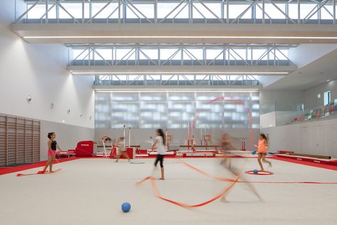 Gallery of Gymnastic Training Center of Guimarães / Pitagoras Group - 2 Field Architecture, Gymnastics Center, Olympic Training, Gymnastics Room, Ball Birthday Parties, Gymnastics Training, Sport Hall, Adaptive Reuse, Sports Training