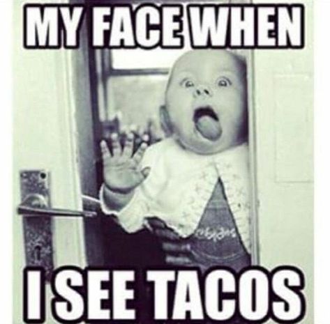 My face when I see tacos! Taco Tuesday Meme, Funny Taco Memes, Taco Images, Taco Pictures, Tuesday Meme, Taco Quote, Happy Taco, Taco Humor, Tuesday Humor