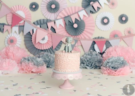 Pink and gray elephant smash cake, by MadHouse Bakes Smash Cake Girl, Baby Cake Smash, Elephant Cakes, Baby Girl First Birthday, Baby Bear Baby Shower, Girl First Birthday, Baby Cake, Cake Smash, Pink Grey