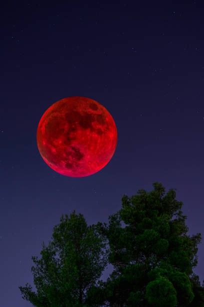 974 Blood Moon Stock Photos, High-Res Pictures, and Images - Getty Images Royalty Crown, Moon Party, Moon Illustration, Dark Blood, Blood Moon, High Res, Artwork Design, Royalty, Getty Images