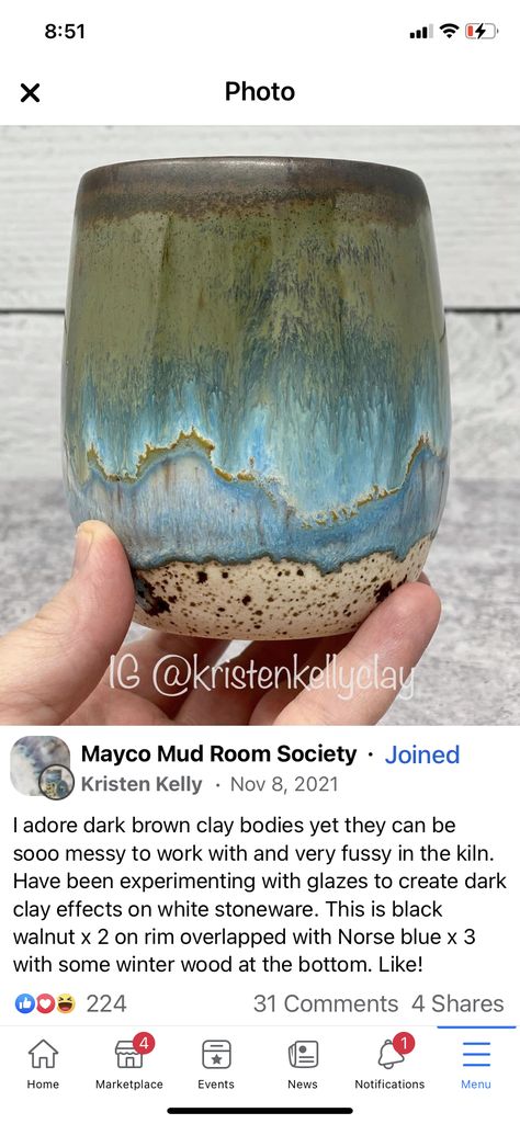 Mayco Glaze, Glaze Combinations, Winter Wood, Glaze Ceramics, Pottery Glazes, Ceramics Ideas Pottery, Glazes For Pottery, Color Tile, Black Walnuts