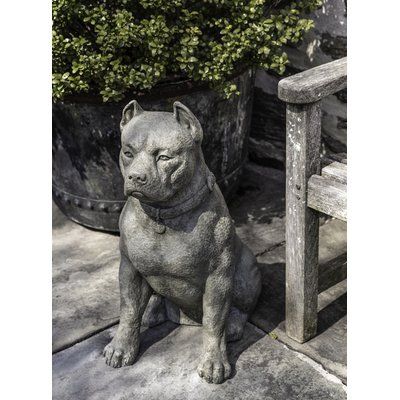 Red Barrel Studio Eustaquio Statue Color: Travertine Concrete Garden Statues, Stone Garden Statues, Campania International, French Limestone, Lawn Ornaments, Dog Statue, Cast Stone, Outdoor Statues, Pool Water