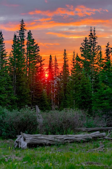 Mountain Mornings. Back in the mountains which means the series is back ⛰️ It’s been a mixed bag of weather, even by mountain standards, here in central Colorado. Air quality is low due to wildfire smoke that has blown in and settled in the area. Gotta admit, it does help produce stunning images of the sun and sky during dawn and dusk This morning, as I hiked up one of our local trails, I was so taken off guard seeing the sun crest the mountains in the distance between the pines that sever... Sun And Sky, Mountains In The Distance, Dawn And Dusk, The Pines, Mountain Sunset, Admit It, Air Quality, In The Mountains, This Morning