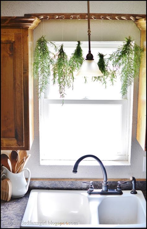 Plants Kitchen Window, Drying Rosemary, Plants Kitchen, Above Sink, Plants Hanging, Drying Rack Kitchen, Hanging Herbs, Plant Window, Kitchen Plants