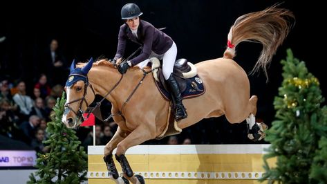 Jessica Springsteen, Patti Scialfa, Chestnut Horses, Olympic Equestrian, Equestrian Jumping, Hunter Jumper Horses, Beautiful Horse Pictures, Horse Rescue, Us Olympics