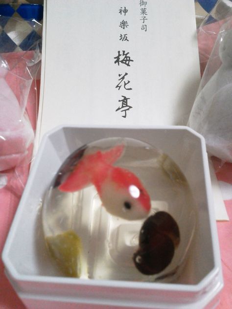 3d Jelly Cake, Japanese Wagashi, Japanese Sweets Wagashi, Japanese Treats, Jelly Cake, Japanese Sweet, Japanese Tea Ceremony, Japanese Dessert, Japanese Sweets