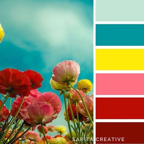 Teal Color Palette, Colour Story, Color Palette Yellow, Design Techniques, Red Colour Palette, Color Schemes Colour Palettes, Flyer Ideas, Colour Combos, Color Palette Pink