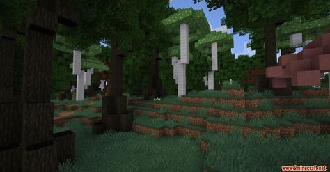 Biome, Minecraft Mods, Minecraft Houses, Concept Architecture, Minecraft, Architecture