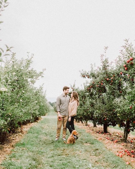 Apple Orchard Engagement Photos Fall, Fall Couples Photoshoot Apple Orchard, Apple Orchard Photoshoot, Apple Picking Pictures, Fall Couple Photos With Two Dogs, Fall Couple Photos With Small Dog, Fall Couple Shoot With Dog, Orchard Photoshoot, Peach Picking